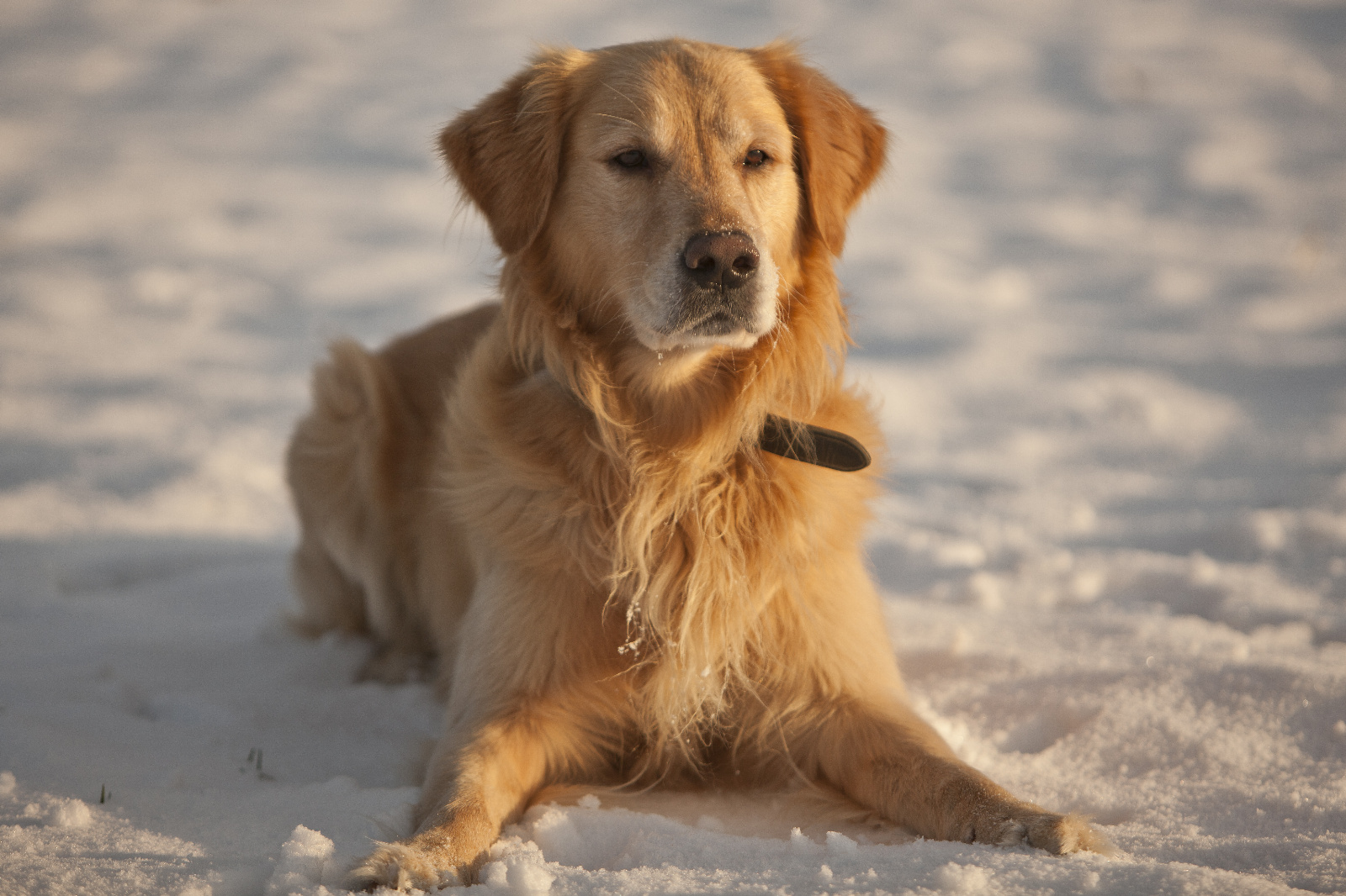  Z4Q2820 (61 von 109)